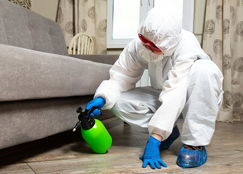 professional pest control