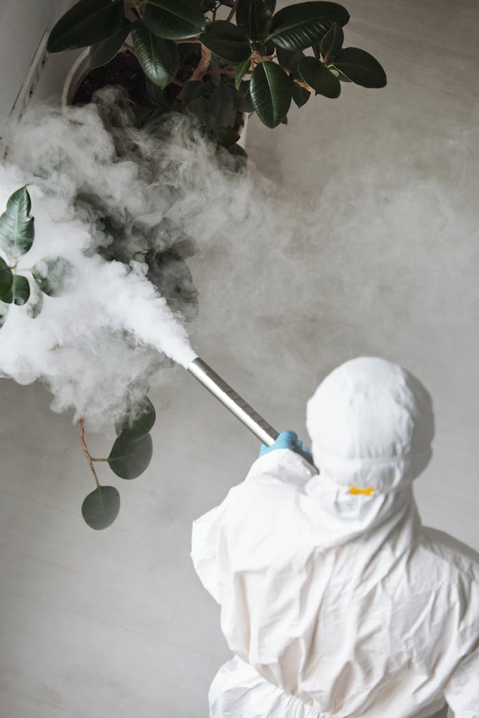 ours-journey Person in protective gear fumigating an indoor plant, emitting smoke.